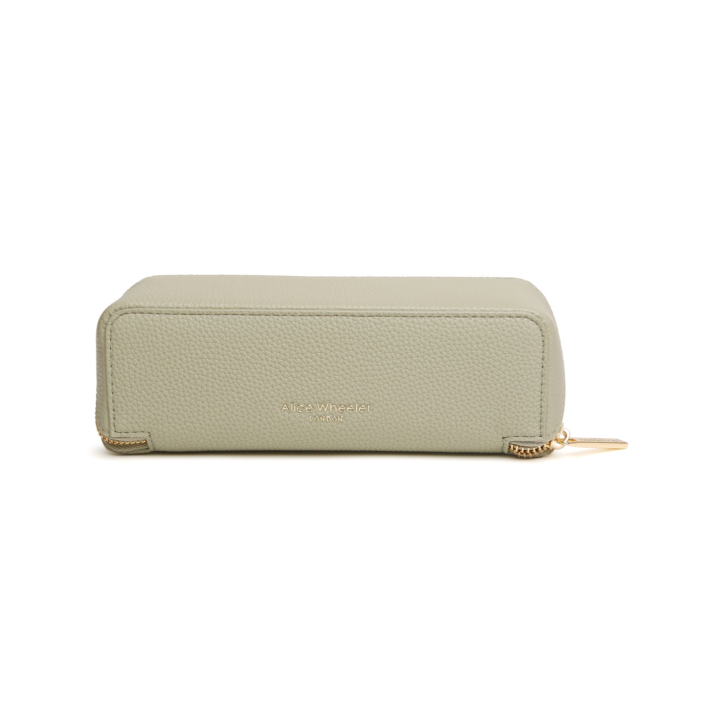 Pistachio  - Small Train Case