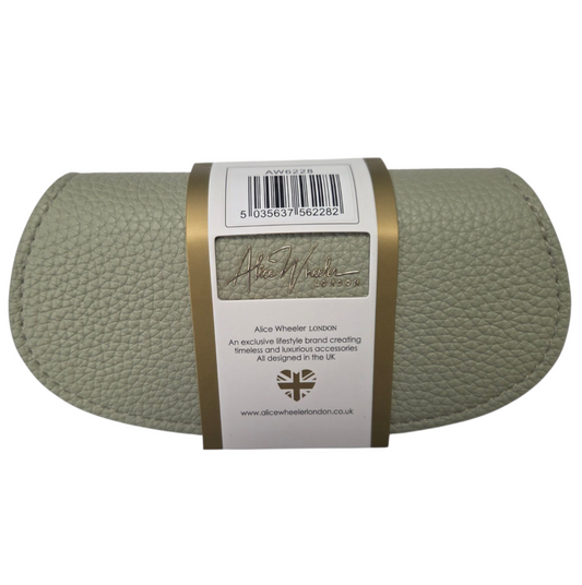 Pistachio Glasses Case