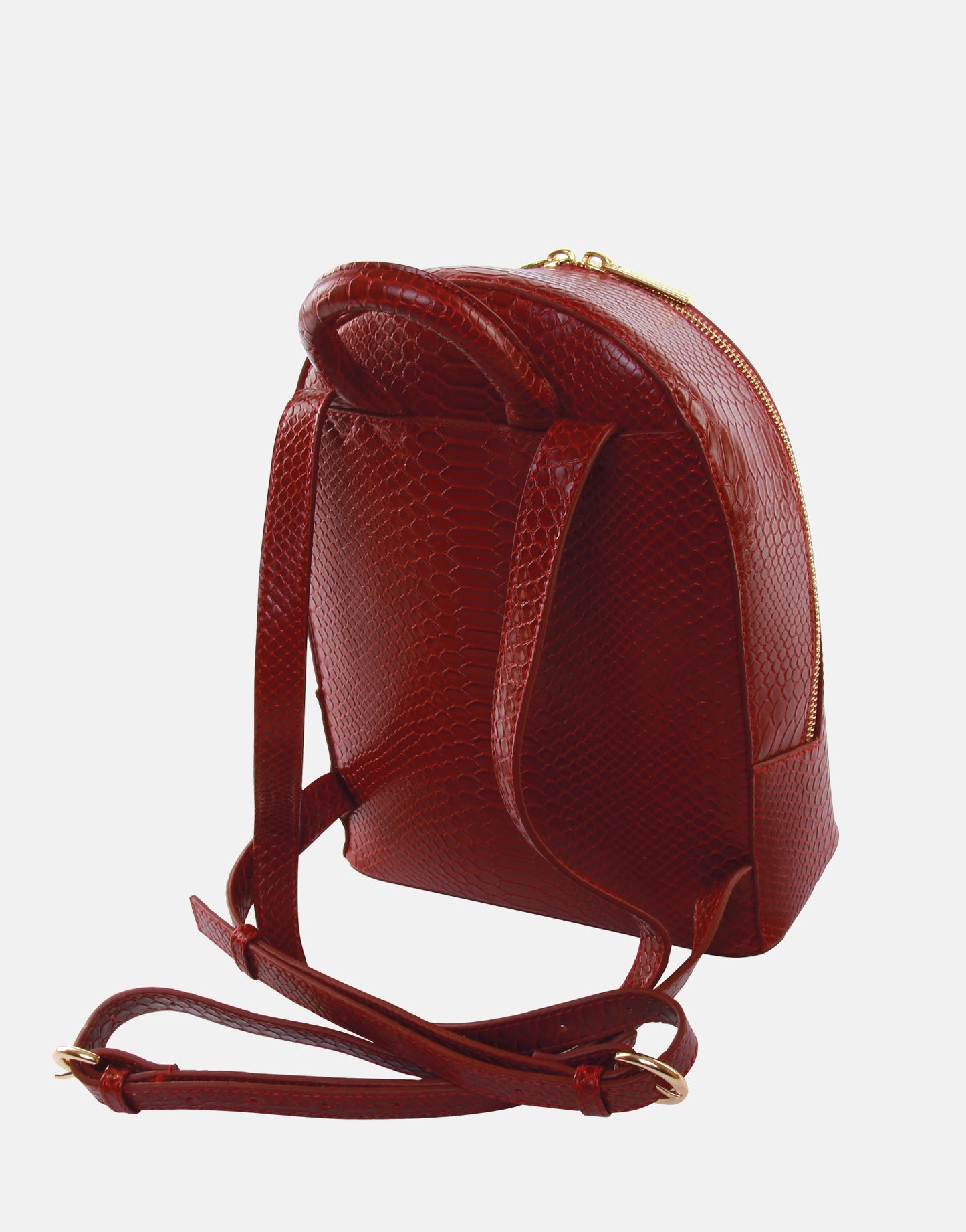 Richmond Cherry Snake print Backpack