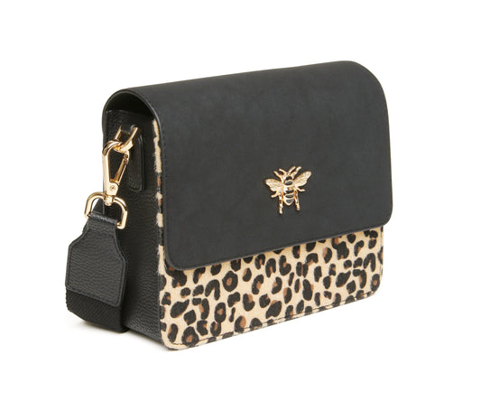 Leopard - Highbury CBB